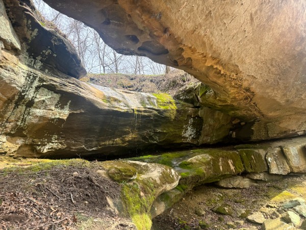 More of Rock Bridge at Millstone Caves (Tract 3)