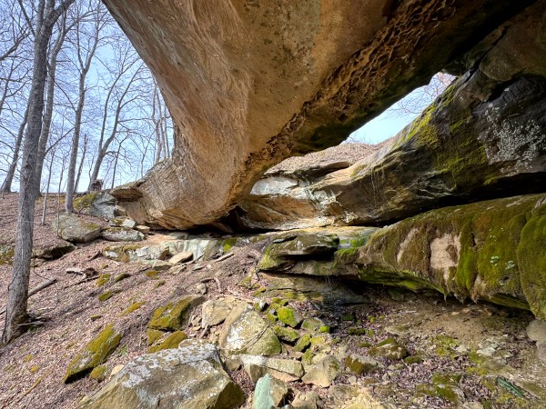 More of Rock Bridge at Millstone Caves (Tract 3)