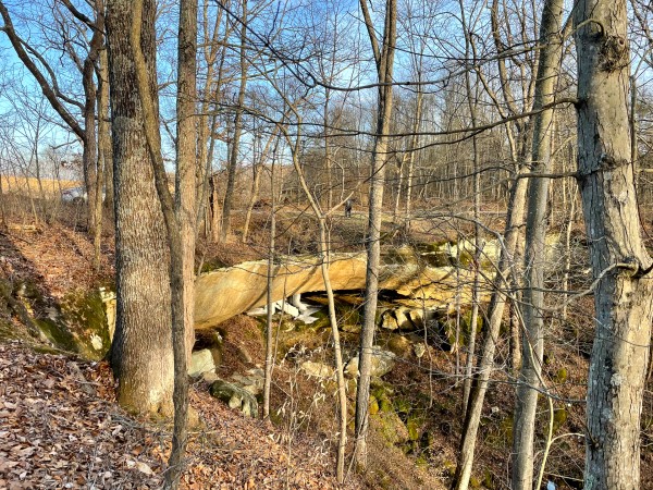 More of Rock Bridge at Millstone Caves (Tract 3)