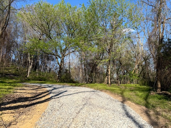Tract 6 - The Woods at Little Kyger property photo