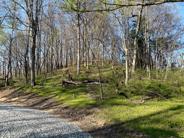 Tract 6 - The Woods at Little Kyger property photo