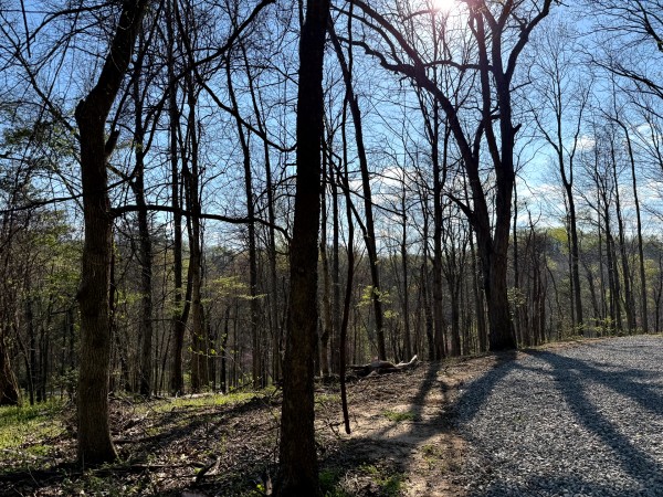 Tract 6 - The Woods at Little Kyger property photo