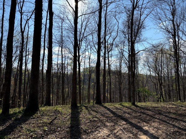 Tract 6 - The Woods at Little Kyger property photo