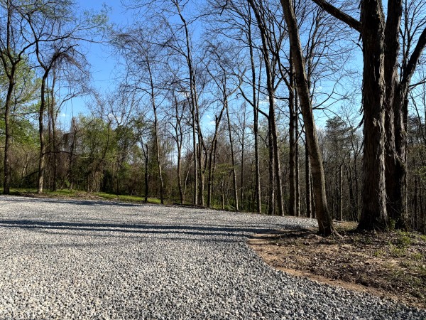 Tract 6 - The Woods at Little Kyger property photo