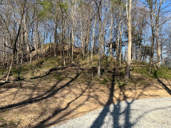 Tract 6 - The Woods at Little Kyger property photo