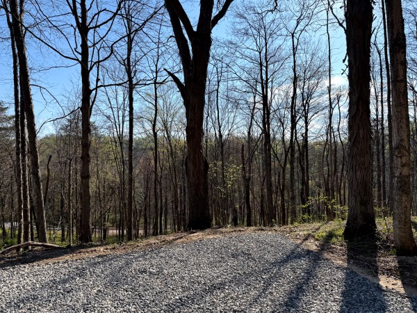Tract 6 - The Woods at Little Kyger property photo