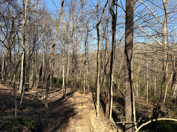 Tract 6 - The Woods at Little Kyger property photo