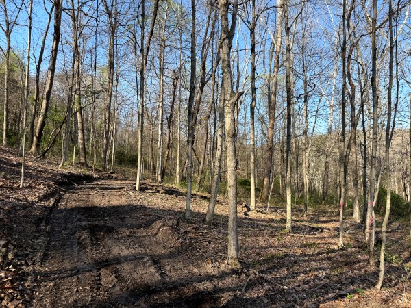 Tract 6 - The Woods at Little Kyger property photo