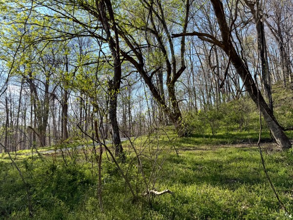 Tract 6 - The Woods at Little Kyger property photo