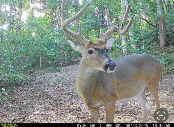 More of Tract 6 - The Woods at Little Kyger
