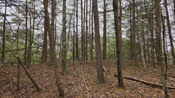 The Ponds at Poplar Ridge – Tract 4 property photo
