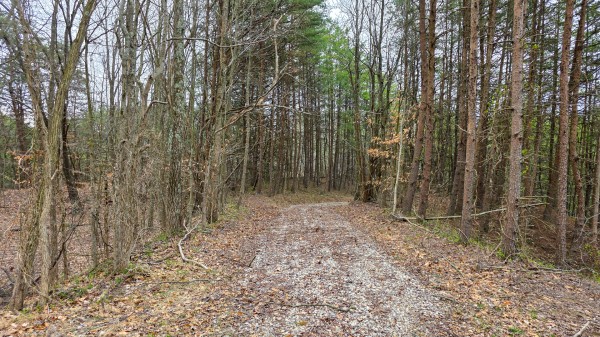The Ponds at Poplar Ridge – Tract 4 property photo