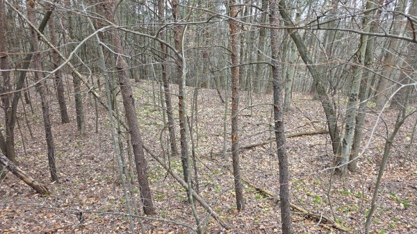 The Ponds at Poplar Ridge – Tract 4 property photo