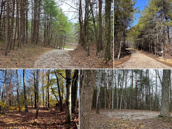 The Ponds at Poplar Ridge – Tract 4 - Gallia County, Ohio - 10.2 acres