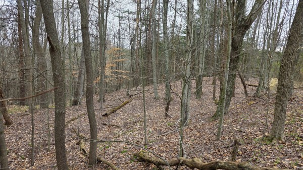 The Ponds at Poplar Ridge – Tract 4 property photo
