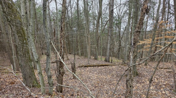 The Ponds at Poplar Ridge – Tract 4 property photo