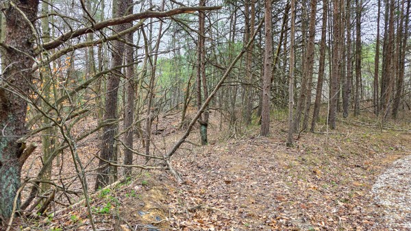 The Ponds at Poplar Ridge – Tract 4 property photo