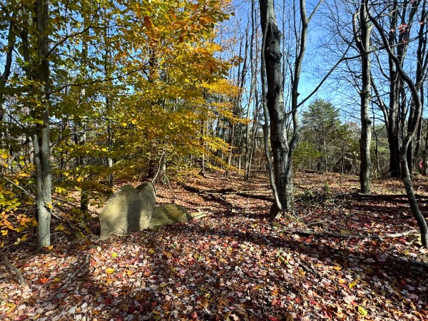 More of The Ponds at Poplar Ridge – Tract 4