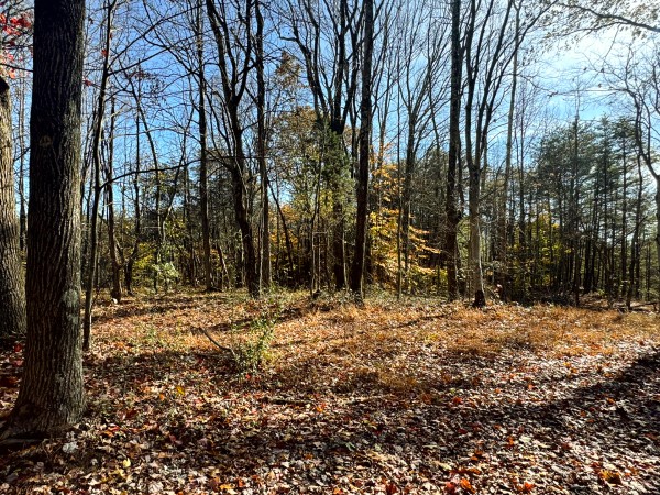 More of The Ponds at Poplar Ridge – Tract 4