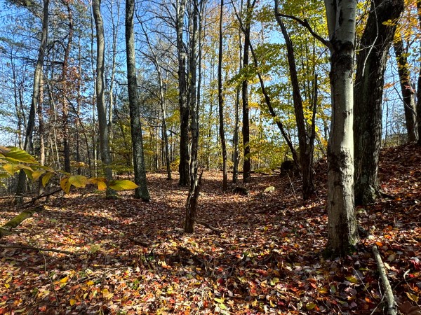 More of The Ponds at Poplar Ridge – Tract 4