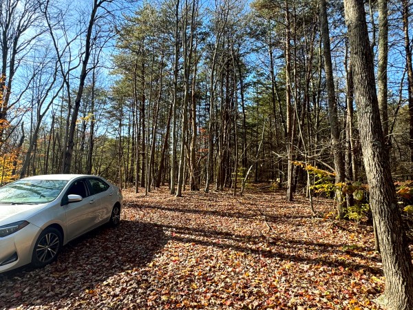 More of The Ponds at Poplar Ridge – Tract 4