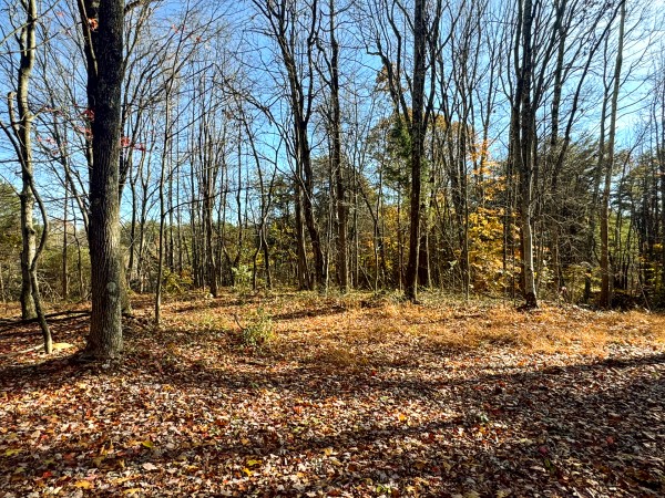 The Ponds at Poplar Ridge – Tract 4 property photo