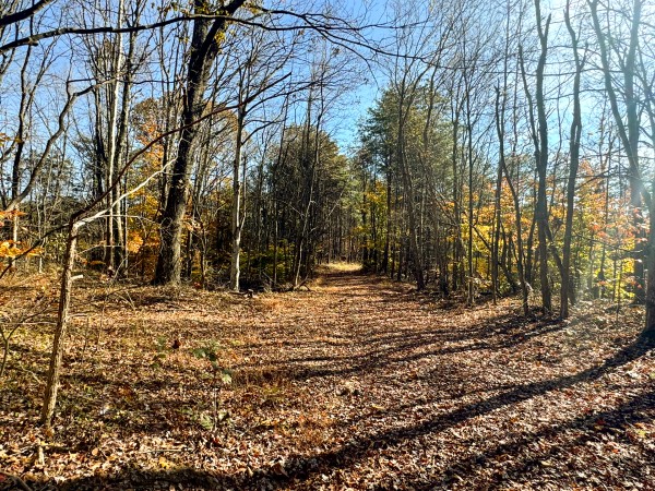 The Ponds at Poplar Ridge – Tract 4 property photo