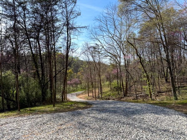 The Pond at Little Kyger (Tract 7) property photo