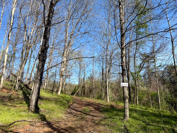 The Pond at Little Kyger (Tract 7) property photo