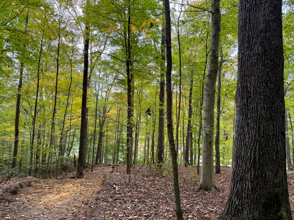 The Pond at Little Kyger (Tract 7) property photo