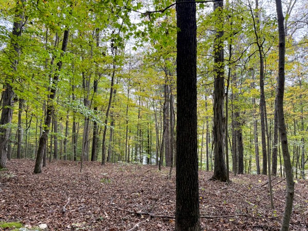 The Pond at Little Kyger (Tract 7) property photo