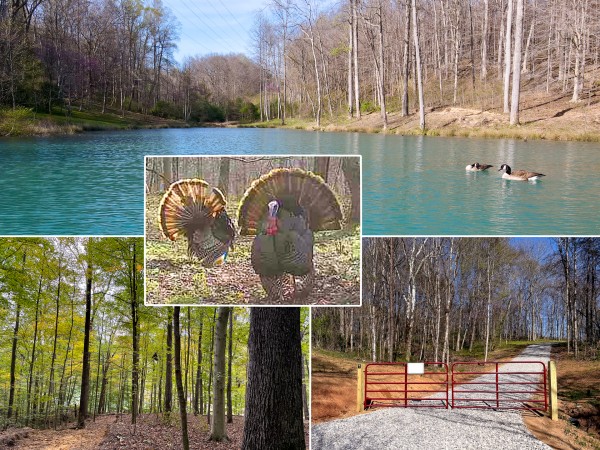 The Pond at Little Kyger (Tract 7) - Gallia County, Ohio - 18.4 acres