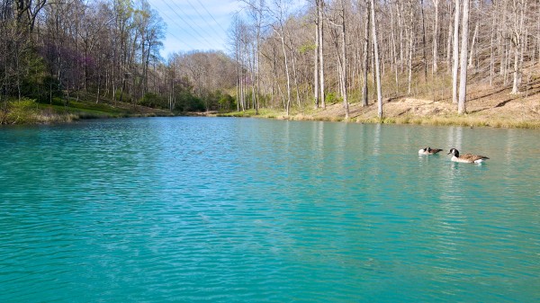 The Pond at Little Kyger (Tract 7) property photo