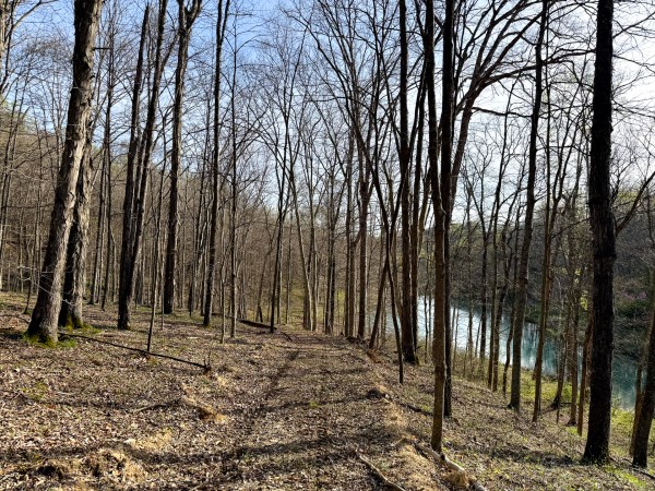 The Pond at Little Kyger (Tract 7) property photo