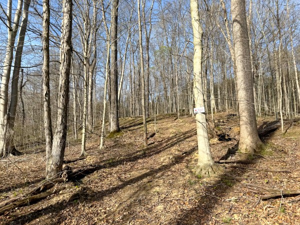 The Pond at Little Kyger (Tract 7) property photo