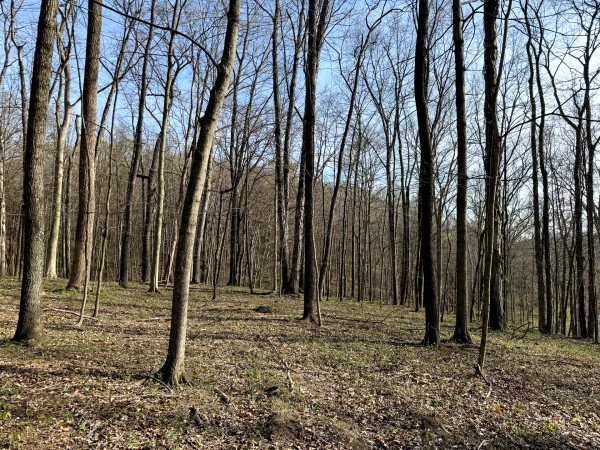 The Pond at Little Kyger (Tract 7) property photo