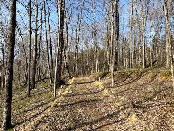 The Pond at Little Kyger (Tract 7) property photo