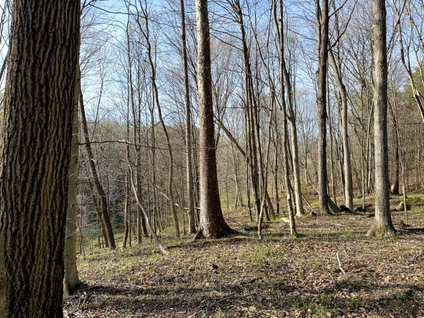 The Pond at Little Kyger (Tract 7) property photo