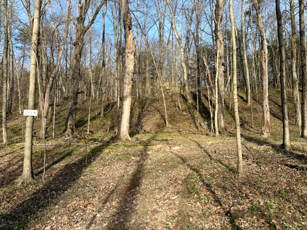 The Pond at Little Kyger (Tract 7) property photo