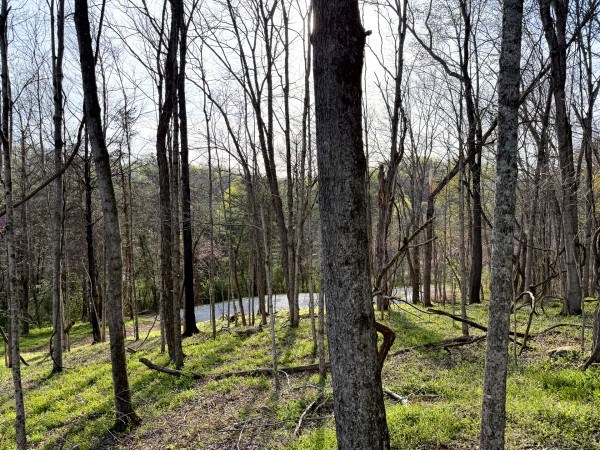 The Pond at Little Kyger (Tract 7) property photo
