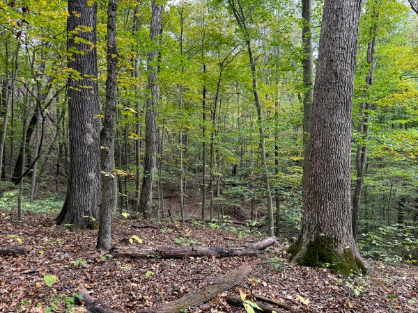 The Pond at Little Kyger (Tract 7) property photo
