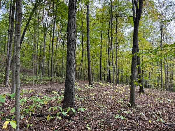 The Pond at Little Kyger (Tract 7) property photo