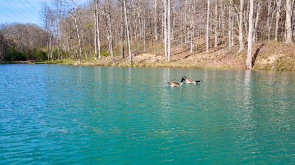 More of The Pond at Little Kyger (Tract 7)