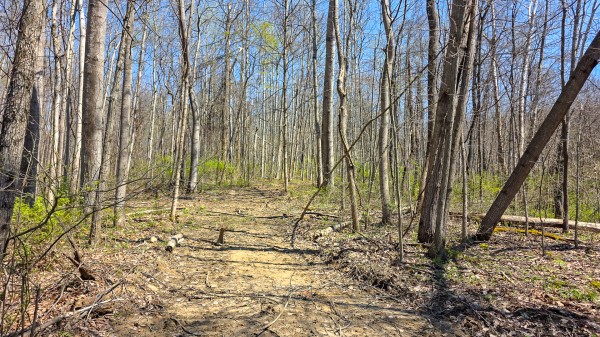 Tract 5 at Muskingum Woods property photo