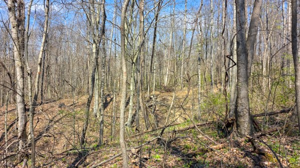 Tract 5 at Muskingum Woods property photo
