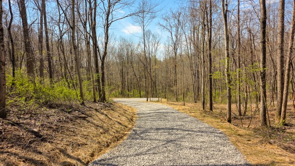 Tract 5 at Muskingum Woods property photo