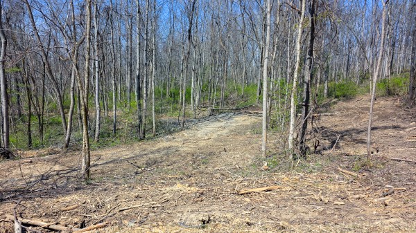 Tract 5 at Muskingum Woods property photo