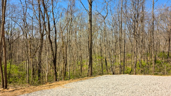 Tract 5 at Muskingum Woods property photo