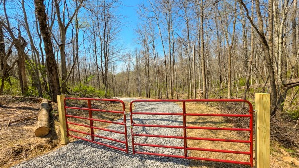More of Tract 5 at Muskingum Woods