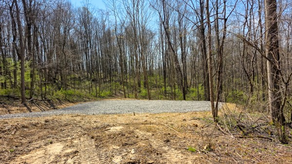More of Tract 5 at Muskingum Woods